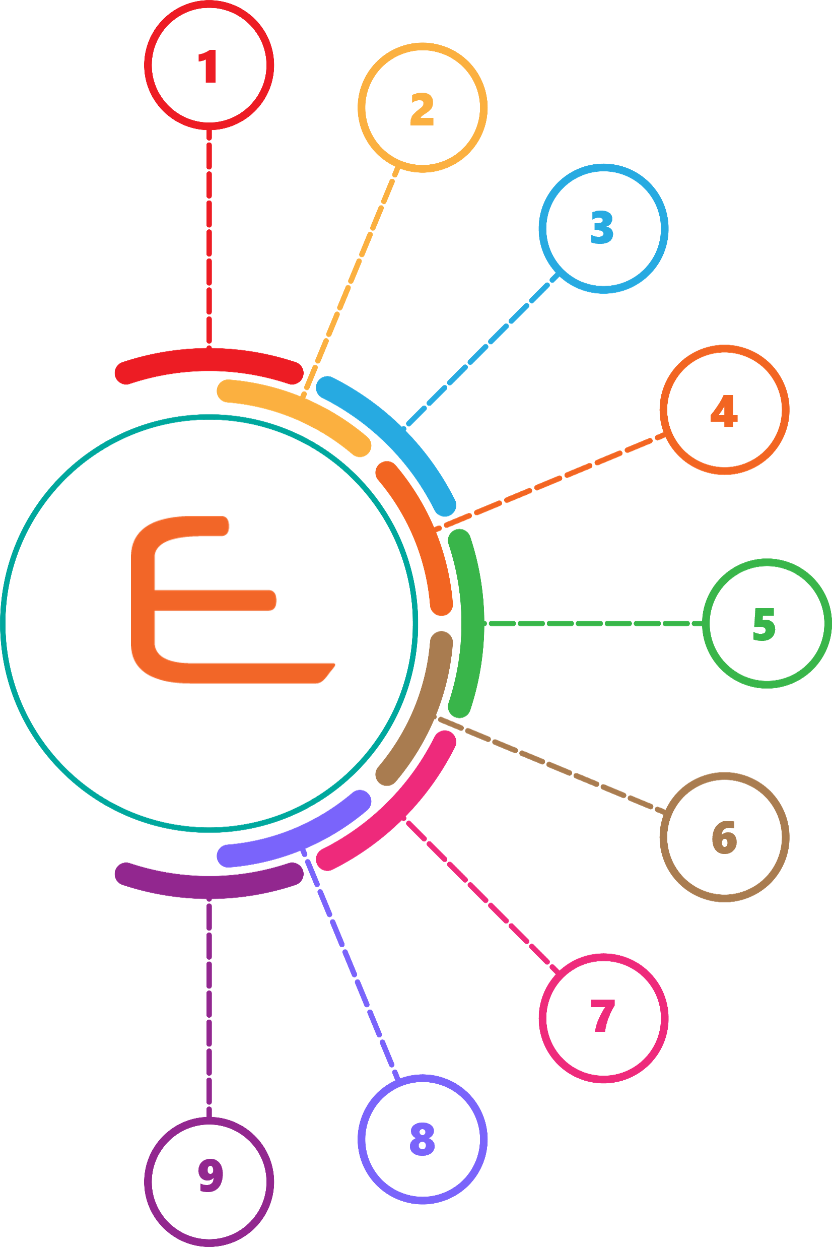 infographic numbered